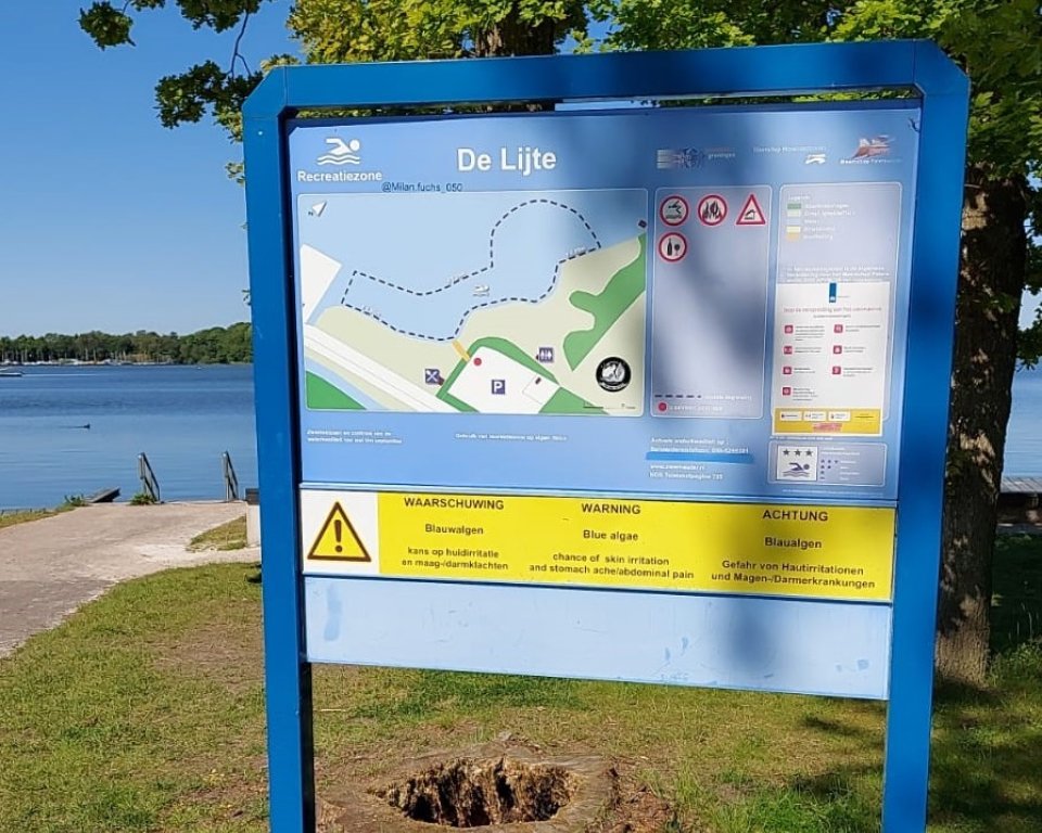 blauwalg op het paterswoldsemeer waterschap noorderzijlvest
