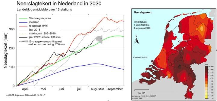 Neerslagtekort Nederland in 2020